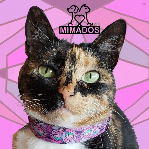 MIMADOS - Imagen 3